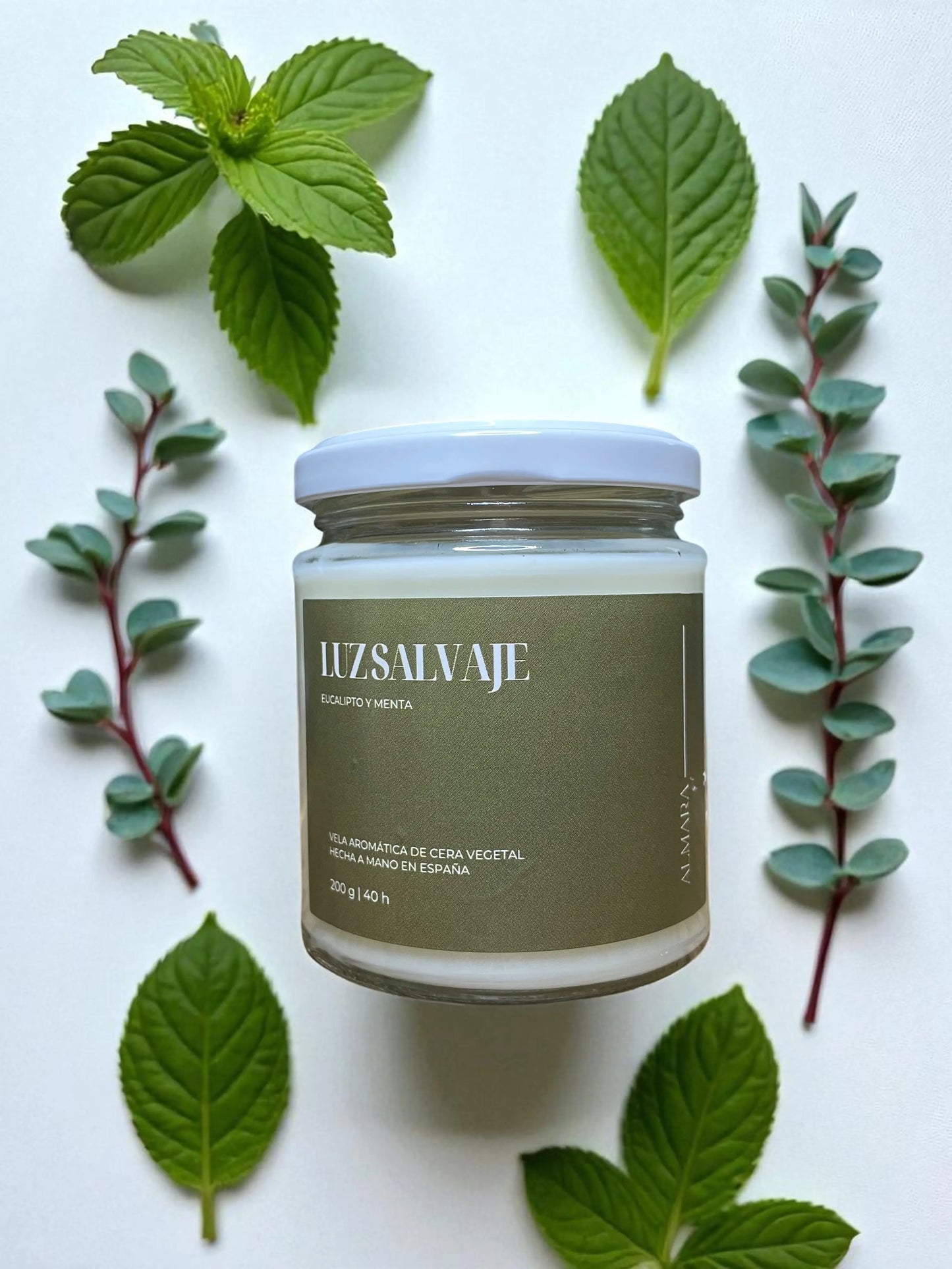 Luz salvaje : vela refrescante de eucalipto y menta